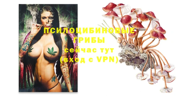 гидропоника Абинск