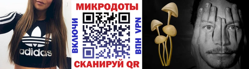 Галлюциногенные грибы Psilocybe  Иноземцево 
